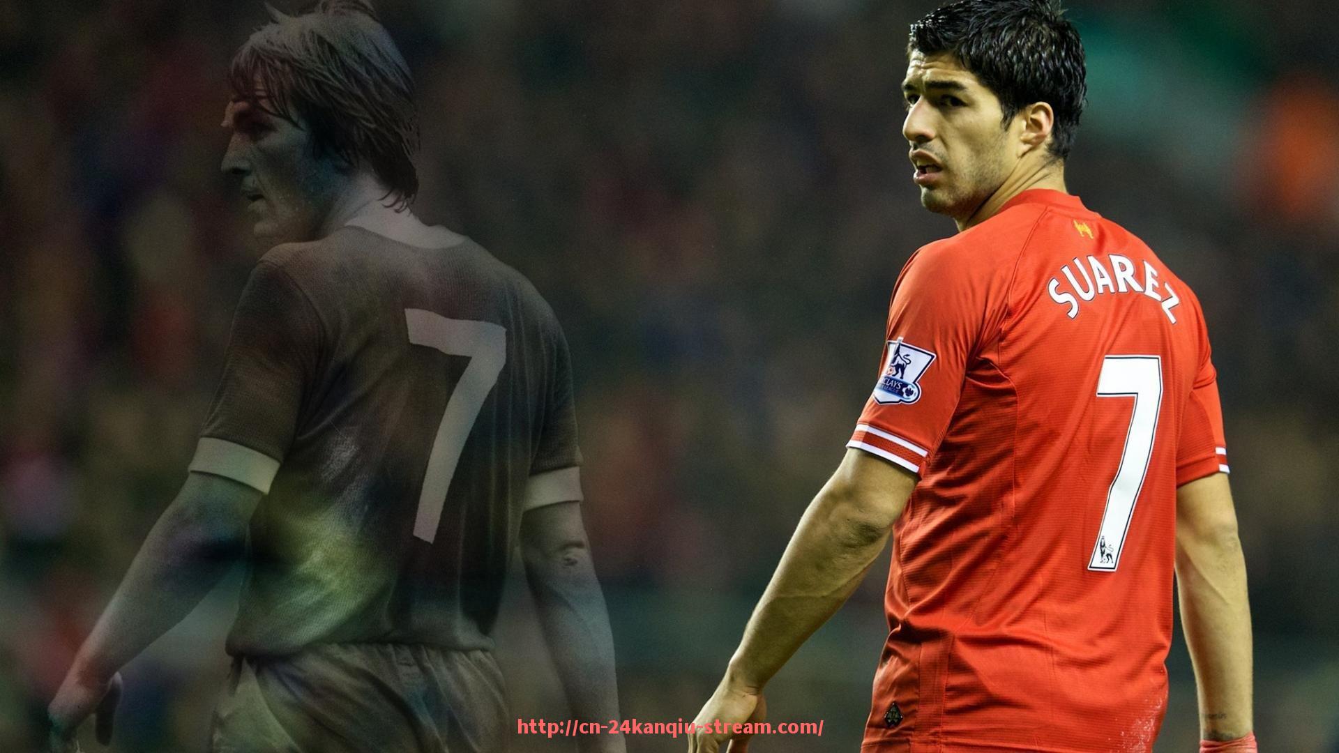 24看球直播网-卧推床健身器材功能全解析：体育训练实用指南